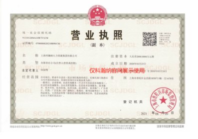 科瀚纳集团猎头营业执照